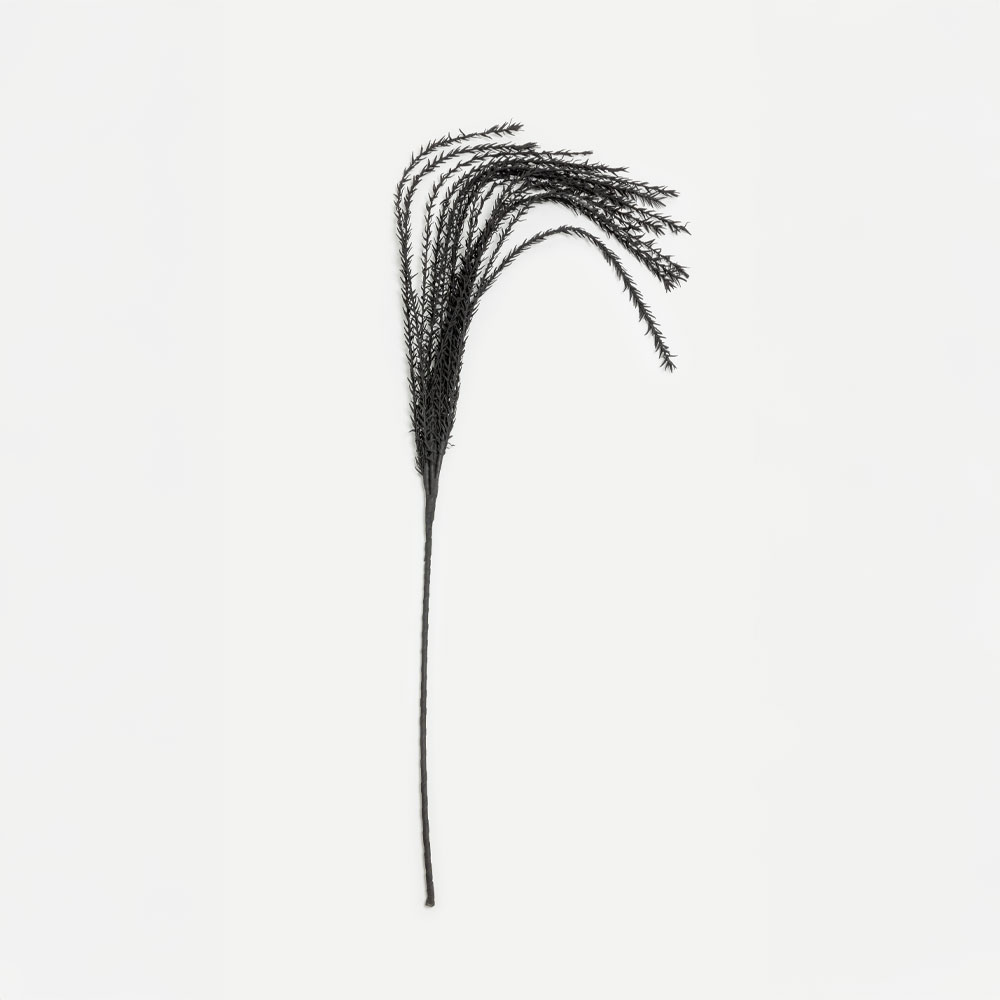 014998-8CEZm-first-_1 POISON ΚΛΑΔΙ ΤΕΧΝΗΤΟ 145cm EVA FOAM ΜΑΥΡΟ 014998 - Image 1