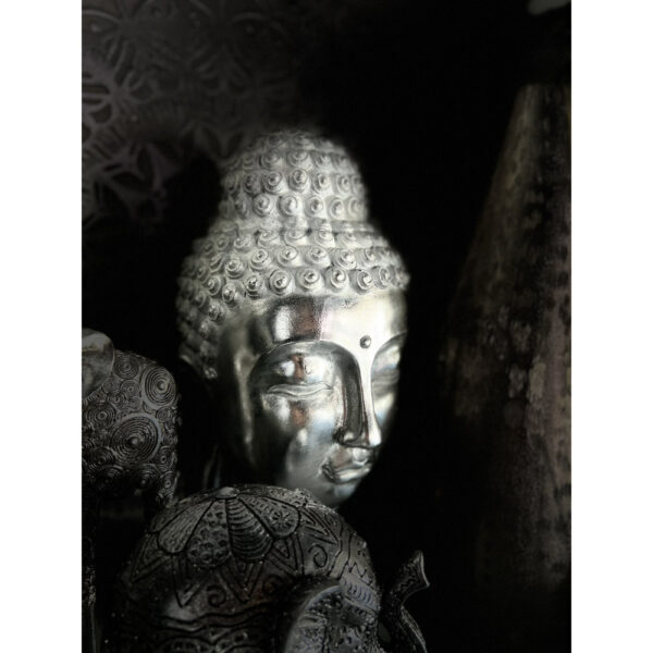 BUDAI ΔΙΑΚΟΣΜΗΤΙΚΟ ΒΟΥΔΑΣ 18x19x42cm POLYRESIN ΑΣΗΜΙ 016370 - Image 2