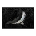 CRANE ΠΙΝΑΚΑΣ ΔΙΑΚΟΣΜΗΣΗΣ 123x83x5cm ΚΑΜΒΑΣ ΜΑΥΡΟ ΓΚΡΙ ΞΥΛΟ ΛΕΥΚΟ 018740