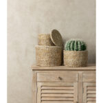 FEROCACTUS ΦΥΤΟ ΤΕΧΝΗΤΟ ΣΕ ΓΛΑΣΤΡΑ 25x25x33cm ΥΦΑΣΜΑ ΠΡΑΣΙΝΟ ΛΕΥΚΟ ΠΛΑΣΤΙΚΟ 019207 - Image 3