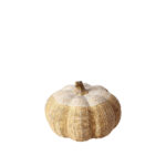 PEPO ΔΙΑΚΟΣΜΗΤΙΚΗ ΚΟΛΟΚΥΘΑ 23x23x16cm POLYRESIN ΦΥΣΙΚΟ 019763