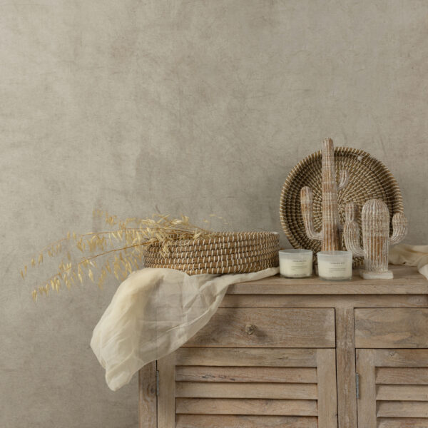 ARIANE 1 ΔΙΑΚΟΣΜΗΤΙΚΟ ΚΑΚΤΟΣ 19x6x23cm POLYRESIN ΦΥΣΙΚΟ ΛΕΥΚΟ 019764 - Image 2