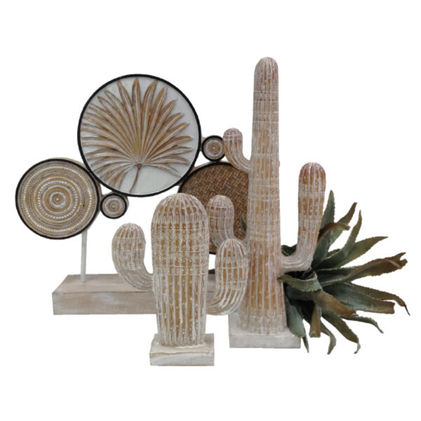 ARIANE 1 ΔΙΑΚΟΣΜΗΤΙΚΟ ΚΑΚΤΟΣ 19x6x23cm POLYRESIN ΦΥΣΙΚΟ ΛΕΥΚΟ 019764 - Image 3