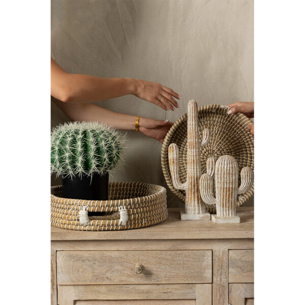 ARIANE 1 ΔΙΑΚΟΣΜΗΤΙΚΟ ΚΑΚΤΟΣ 19x6x23cm POLYRESIN ΦΥΣΙΚΟ ΛΕΥΚΟ 019764 - Image 5