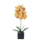 ORCHIDEA ΛΟΥΛΟΥΔΙ ΤΕΧΝΗΤΟ ΣΕ ΓΛΑΣΤΡΑ 63cm PEVA ΚΙΤΡΙΝΟ ΠΟΡΤΟΚΑΛΙ ΚΕΡΑΜΙΚΟ 020778