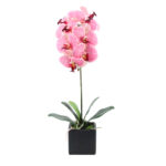 ORCHIDEA ΛΟΥΛΟΥΔΙ ΤΕΧΝΗΤΟ ΣΕ ΓΛΑΣΤΡΑ 63cm PEVA ΡΟΖ ΚΙΤΡΙΝΟ ΚΕΡΑΜΙΚΟ 020779