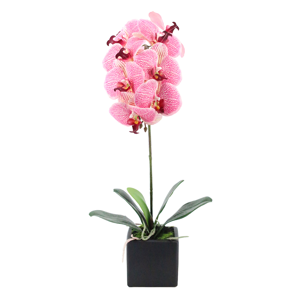 020779-vpiqm-first- ORCHIDEA ΛΟΥΛΟΥΔΙ ΤΕΧΝΗΤΟ ΣΕ ΓΛΑΣΤΡΑ 63cm PEVA ΡΟΖ ΚΙΤΡΙΝΟ ΚΕΡΑΜΙΚΟ 020779 - Image 1