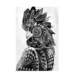 BLACK MAJOR ΠΙΝΑΚΑΣ ΔΙΑΚΟΣΜΗΣΗΣ 80x120x4cm ΚΑΜΒΑΣ ΛΕΥΚΟ ΜΑΥΡΟ ΞΥΛΟ 022077