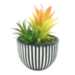 LAKHSMI 4 ΦΥΤΟ ΤΕΧΝΗΤΟ ΣΕ ΚΑΣΠΩ 13x13x18.5cm POLYRESIN ΜΑΥΡΟ ΛΕΥΚΟ ΠΡΑΣΙΝΟ 022319