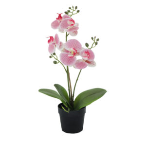 ORCHID 1 ΦΥΤΟ ΤΕΧΝΗΤΟ ΣΕ ΓΛΑΣΤΡΑ 35cm PE/PP ΡΟΖ ΠΡΑΣΙΝΟ PEVA 022415