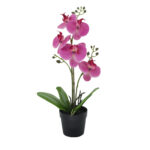 ORCHID 2 ΦΥΤΟ ΤΕΧΝΗΤΟ ΣΕ ΓΛΑΣΤΡΑ 35cm PE/PP ΜΩΒ ΠΡΑΣΙΝΟ PEVA 022416