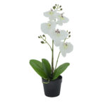 ORCHID 3 ΦΥΤΟ ΤΕΧΝΗΤΟ ΣΕ ΓΛΑΣΤΡΑ 35cm PE/PP ΛΕΥΚΟ ΠΡΑΣΙΝΟ PEVA 022417