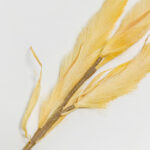 VEGUR 11 ΚΛΑΔΙ ΤΕΧΝΗΤΟ 100cm EVA FOAM ΚΙΤΡΙΝΟ 022963 - Image 3