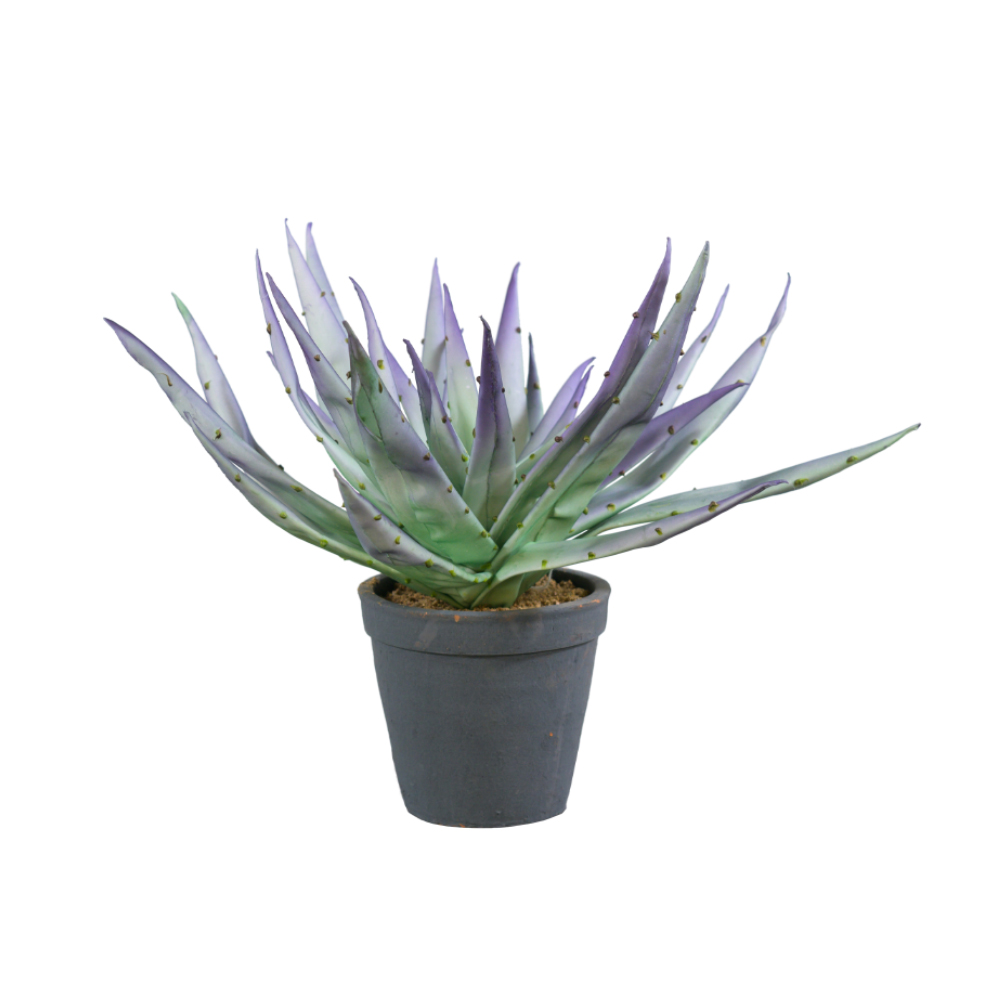 KOSTAS SINIS ALOE MAUVE ΦΥΤΟ ΤΕΧΝΗΤΟ ΣΕ ΓΛΑΣΤΡΑ 32cm EVA FOAM ΜΩΒ ΠΡΑΣΙΝΟ ΚΕΡΑΜΙΚΟ ΜΑΥΡΟ 024046 - Image 1
