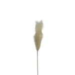 FEDER SINGLE ΚΛΑΔΙ ΤΕΧΝΗΤΟ ΜΕ ΦΤΕΡΑ 110cm POLYESTER ΛΕΥΚΟ 024116