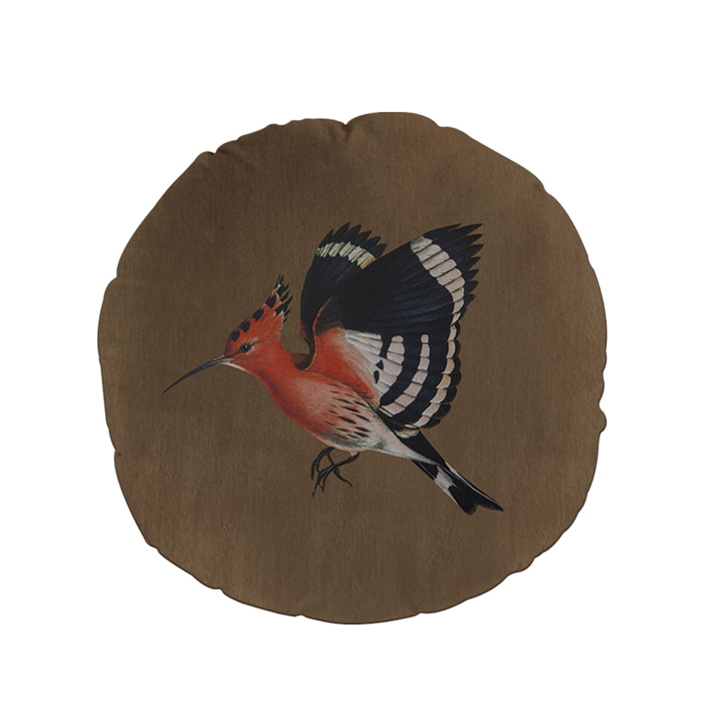 025313-CC4TX-first-_1 HOOPOE ΔΙΑΚΟΣΜΗΤΙΚΟ ΜΑΞΙΛΑΡΙ 45x45cm ΒΕΛΟΥΔΟ ΠΟΛΥΧΡΩΜΟ ΚΑΦΕ 025313 - Image 1