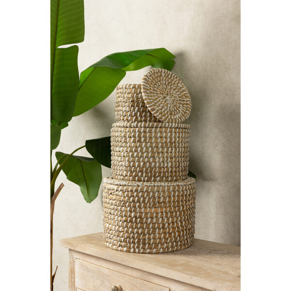 NILE BOX ΚΑΛΑΘΙ ΜΕ ΚΑΠΑΚΙ SET 3ΤΜΧ 35x35x25cm KANSGRASS ΦΥΣΙΚΟ ΛΕΥΚΟ PVC 027402 - Image 2