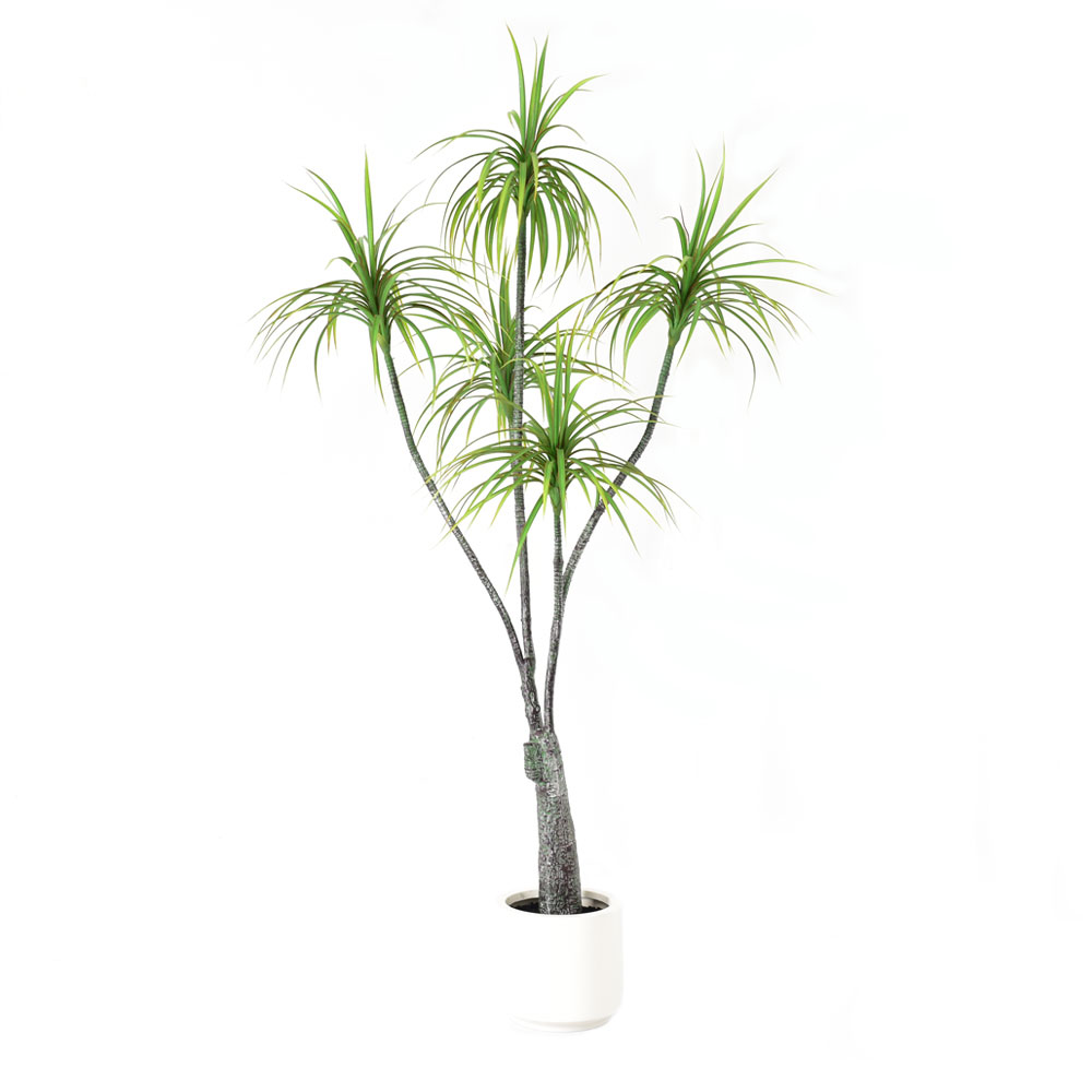 029869-obO7b-first-_1 HEMLOCK ΔΕΝΤΡΟ ΤΕΧΝΗΤΟ ΣΕ ΓΛΑΣΤΡΑ 200cm PE ΠΡΑΣΙΝΟ 029869 - Image 1