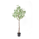 SILVER DOLLAR EUCALYPTUS ΔΕΝΤΡΟ ΤΕΧΝΗΤΟ ΣΕ ΓΛΑΣΤΡΑ 150cm PE ΠΡΑΣΙΝΟ ΜΕΤΑΞΩΤΟ ΥΦΑΣΜΑ 029878