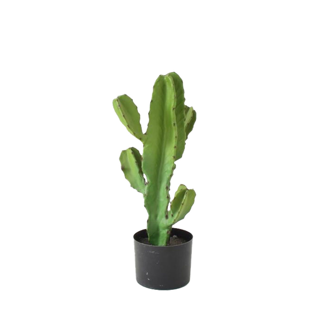 029880-HHoq0-first-_1 CANDELABRA CACTUS ΦΥΤΟ ΤΕΧΝΗΤΟ ΣΕ ΓΛΑΣΤΡΑ 55cm PU ΠΡΑΣΙΝΟ 029880 - Image 1
