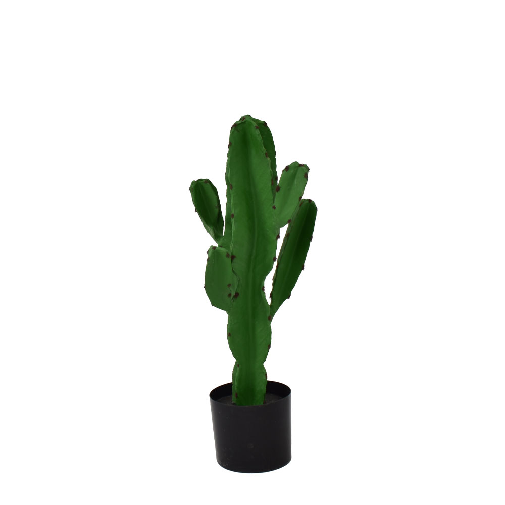 029881-ajfRH-first-_1 CANDELABRA CACTUS ΦΥΤΟ ΤΕΧΝΗΤΟ ΣΕ ΓΛΑΣΤΡΑ 70cm PU ΠΡΑΣΙΝΟ 029881 - Image 1