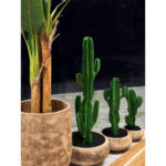 CANDELABRA CACTUS ΦΥΤΟ ΤΕΧΝΗΤΟ ΣΕ ΓΛΑΣΤΡΑ 70cm PU ΠΡΑΣΙΝΟ 029881 - Image 3