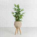 BAMBOO ΦΥΤΟ ΤΕΧΝΗΤΟ ΣΕ ΓΛΑΣΤΡΑ 70cm POLYESTER ΠΡΑΣΙΝΟ PVC 030727 - Image 2