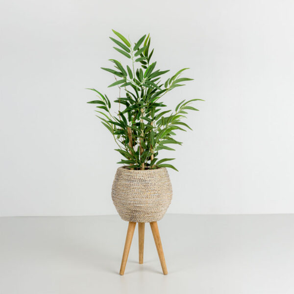 BAMBOO ΦΥΤΟ ΤΕΧΝΗΤΟ ΣΕ ΓΛΑΣΤΡΑ 70cm POLYESTER ΠΡΑΣΙΝΟ PVC 030727 - Image 2