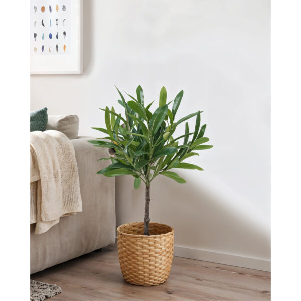 OLIA ΦΥΤΟ ΤΕΧΝΗΤΟ ΣΕ ΓΛΑΣΤΡΑ 45cm PVC ΠΡΑΣΙΝΟ PU 030728 - Image 2