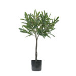 OLIA ΦΥΤΟ ΤΕΧΝΗΤΟ ΣΕ ΓΛΑΣΤΡΑ 75cm PVC ΠΡΑΣΙΝΟ PU 030729