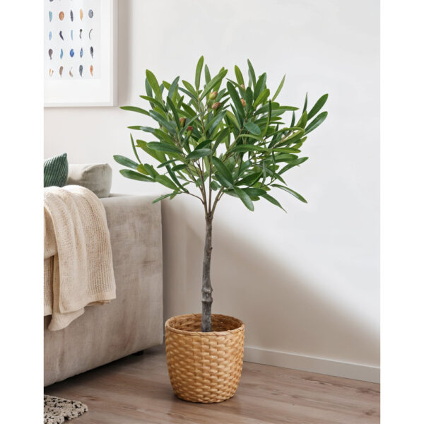 OLIA ΦΥΤΟ ΤΕΧΝΗΤΟ ΣΕ ΓΛΑΣΤΡΑ 75cm PVC ΠΡΑΣΙΝΟ PU 030729 - Image 2