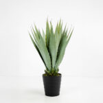 AGAVE ΦΥΤΟ ΤΕΧΝΗΤΟ ΣΕ ΓΛΑΣΤΡΑ 58cm PVC ΠΡΑΣΙΝΟ ΜΑΥΡΟ ΤΣΙΜΕΝΤΟ 030829