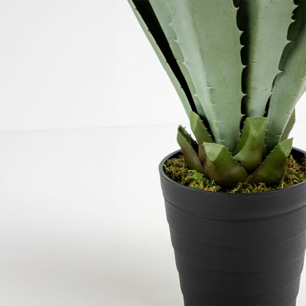 AGAVE ΦΥΤΟ ΤΕΧΝΗΤΟ ΣΕ ΓΛΑΣΤΡΑ 58cm PVC ΠΡΑΣΙΝΟ ΜΑΥΡΟ ΤΣΙΜΕΝΤΟ 030829 - Image 4