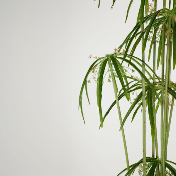 WINDMILL ΔΕΝΤΡΟ ΤΕΧΝΗΤΟ ΣΕ ΓΛΑΣΤΡΑ 160cm PVC ΠΡΑΣΙΝΟ ΜΑΥΡΟ ΤΣΙΜΕΝΤΟ 030835 - Image 2