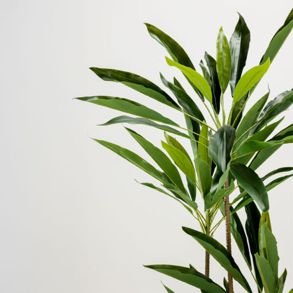 VELVET TREE ΔΕΝΤΡΟ ΤΕΧΝΗΤΟ ΣΕ ΓΛΑΣΤΡΑ 120cm PVC ΠΡΑΣΙΝΟ ΜΑΥΡΟ ΤΣΙΜΕΝΤΟ 030848 - Image 3