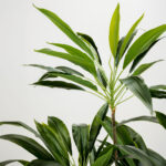 VELVET TREE ΔΕΝΤΡΟ ΤΕΧΝΗΤΟ ΣΕ ΓΛΑΣΤΡΑ 140cm PVC ΠΡΑΣΙΝΟ ΜΑΥΡΟ ΤΣΙΜΕΝΤΟ 030849 - Image 3