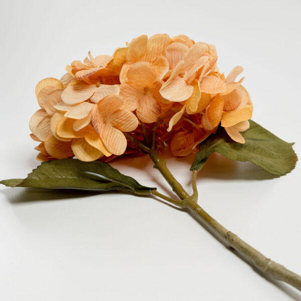 HYDRANGEA ΛΟΥΛΟΥΔΙ ΤΕΧΝΗΤΟ 67cm POLYESTER ΚΙΤΡΙΝΟ ΠΟΡΤΟΚΑΛΙ ΠΡΑΣΙΝΟ 030876 - Image 4