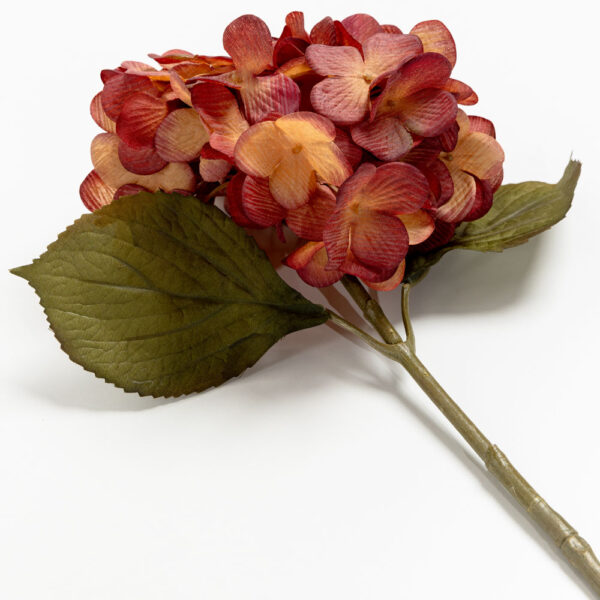HYDRANGEA ΛΟΥΛΟΥΔΙ ΤΕΧΝΗΤΟ 67cm POLYESTER ΜΠΟΡΝΤΩ ΚΙΤΡΙΝΟ ΠΡΑΣΙΝΟ 030877 - Image 4