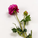 RANUNCULUS ΛΟΥΛΟΥΔΙ ΤΕΧΝΗΤΟ 48cm POLYESTER ΦΟΥΞΙΑ ΠΡΑΣΙΝΟ 030878 - Image 5