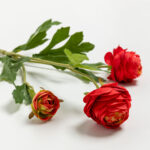 RANUNCULUS ΛΟΥΛΟΥΔΙ ΤΕΧΝΗΤΟ 42cm POLYESTER ΚΟΚΚΙΝΟ ΠΡΑΣΙΝΟ ΠΡΑΣΙΝΟ 030879 - Image 4