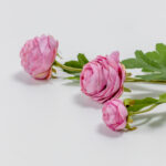 RANUNCULUS ΛΟΥΛΟΥΔΙ ΤΕΧΝΗΤΟ 42cm POLYESTER ΡΟΖ ΠΡΑΣΙΝΟ 030880 - Image 3