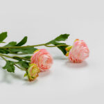RANUNCULUS ΛΟΥΛΟΥΔΙ ΤΕΧΝΗΤΟ 42cm POLYESTER ΣΟΜΟΝ ΠΡΑΣΙΝΟ 030882 - Image 3