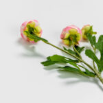 RANUNCULUS ΛΟΥΛΟΥΔΙ ΤΕΧΝΗΤΟ 42cm POLYESTER ΣΟΜΟΝ ΠΡΑΣΙΝΟ 030882 - Image 4