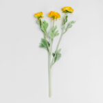 RANUNCULUS ΛΟΥΛΟΥΔΙ ΤΕΧΝΗΤΟ 51cm POLYESTER ΚΙΤΡΙΝΟ ΠΡΑΣΙΝΟ 030883