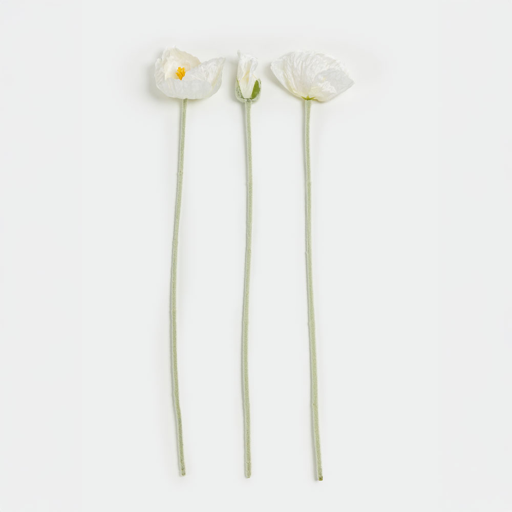 030892-xMtfU-first-_1 POPPY ΛΟΥΛΟΥΔΙ ΤΕΧΝΗΤΟ 61cm POLYESTER ΜΠΕΖ 030892 - Image 1