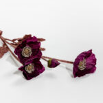 POPPY ΛΟΥΛΟΥΔΙ ΤΕΧΝΗΤΟ 60cm POLYESTER ΜΩΒ ΠΡΑΣΙΝΟ 030896 - Image 5