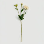 ZINNIA ΛΟΥΛΟΥΔΙ ΤΕΧΝΗΤΟ 62cm POLYESTER ΜΠΕΖ ΠΡΑΣΙΝΟ 030898