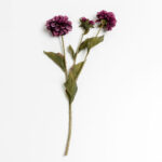 ZINNIA ΛΟΥΛΟΥΔΙ ΤΕΧΝΗΤΟ 52cm POLYESTER ΜΩΒ ΠΡΑΣΙΝΟ 030900
