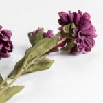 ZINNIA ΛΟΥΛΟΥΔΙ ΤΕΧΝΗΤΟ 52cm POLYESTER ΜΩΒ ΠΡΑΣΙΝΟ 030900 - Image 5