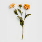 ZINNIA ΛΟΥΛΟΥΔΙ ΤΕΧΝΗΤΟ 52cm POLYESTER ΠΟΡΤΟΚΑΛΙ ΠΡΑΣΙΝΟ 030901